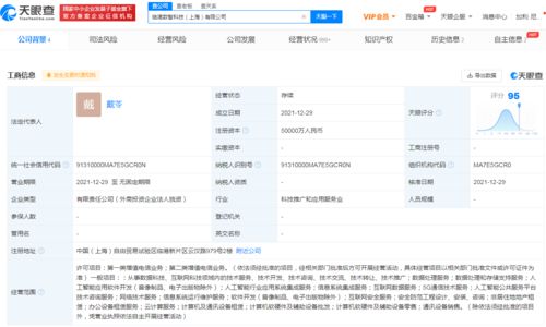 聯(lián)通資本5億在滬設(shè)立科技新公司，加碼數(shù)據(jù)處理服務(wù)新賽道
