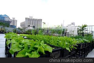 從種花到種菜 城市園藝新風(fēng)尚與樂栽樂哉的科技賦能